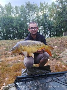 Mirror Carp