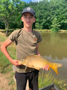Mirror Carp
