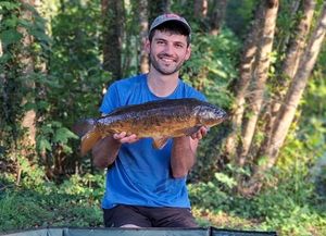 Mirror Carp