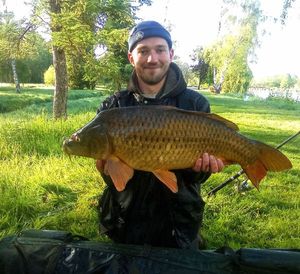 Common Carp