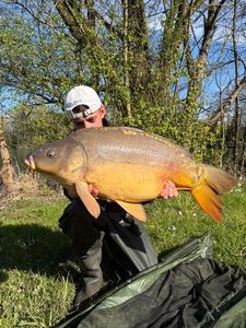 Mirror Carp