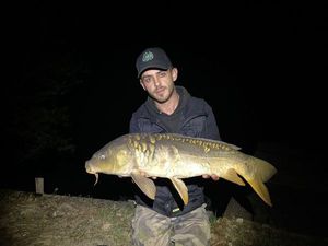 Mirror Carp