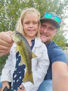 Largemouth Bass