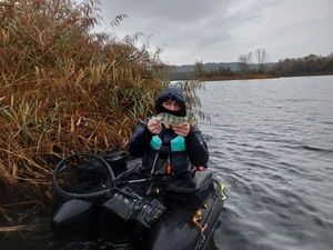 European Perch