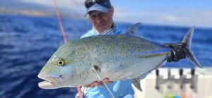 Bluefin Trevally