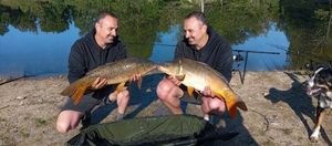 Common Carp