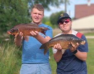 Mirror Carp