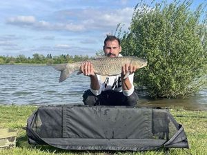 Grass Carp
