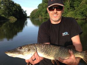 Chain Pickerel