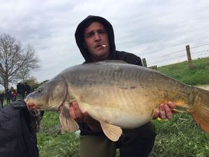 Mirror Carp