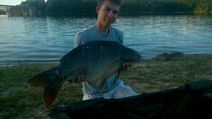 Mirror Carp