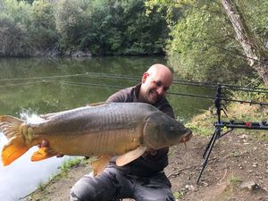 Mirror Carp