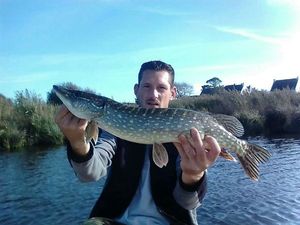 Northern Pike