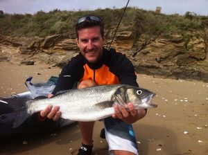 European Bass (Seabass)