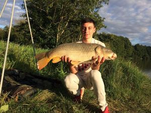 Common Carp