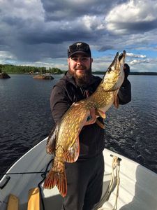 Northern Pike