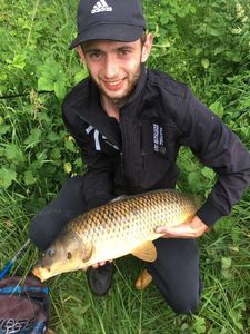 Common Carp
