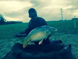 Mirror Carp