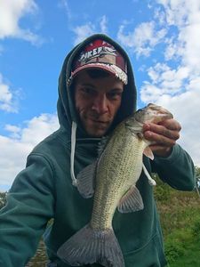 Largemouth Bass