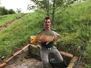 Mirror Carp