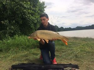 Mirror Carp
