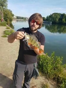 European Perch