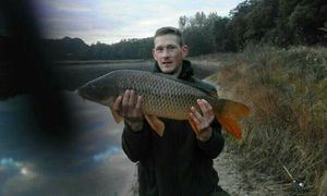 Common Carp