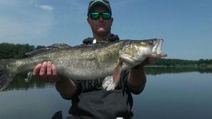 Zander