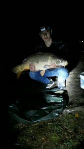 Mirror Carp