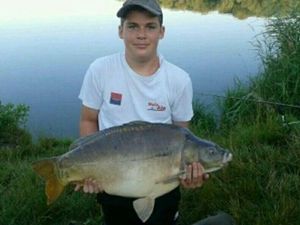 Mirror Carp