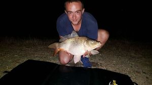 Common Carp