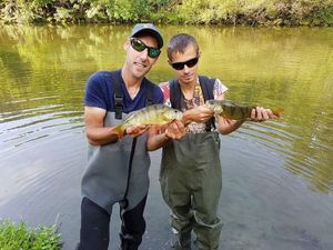 European Perch