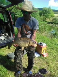 Common Carp
