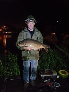 Mirror Carp