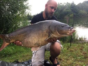 Mirror Carp