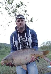 Mirror Carp