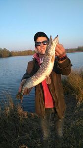 Northern Pike