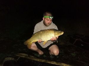 Common Carp
