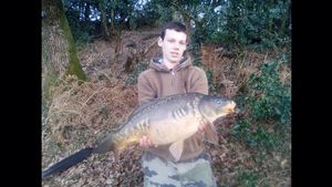 Mirror Carp
