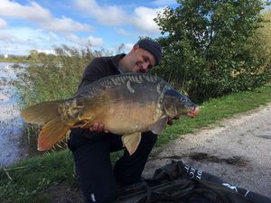 Mirror Carp