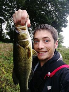 Largemouth Bass