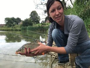 Common Carp