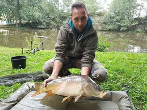 Mirror Carp