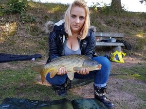 Common Carp