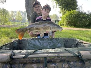 Common Carp