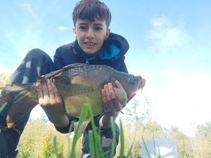 Mirror Carp