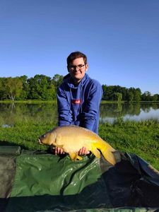 Mirror Carp