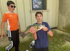 Largemouth Bass