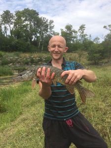 Northern Pike