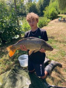 Common Carp